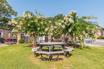 Outdoor picnic area with grills